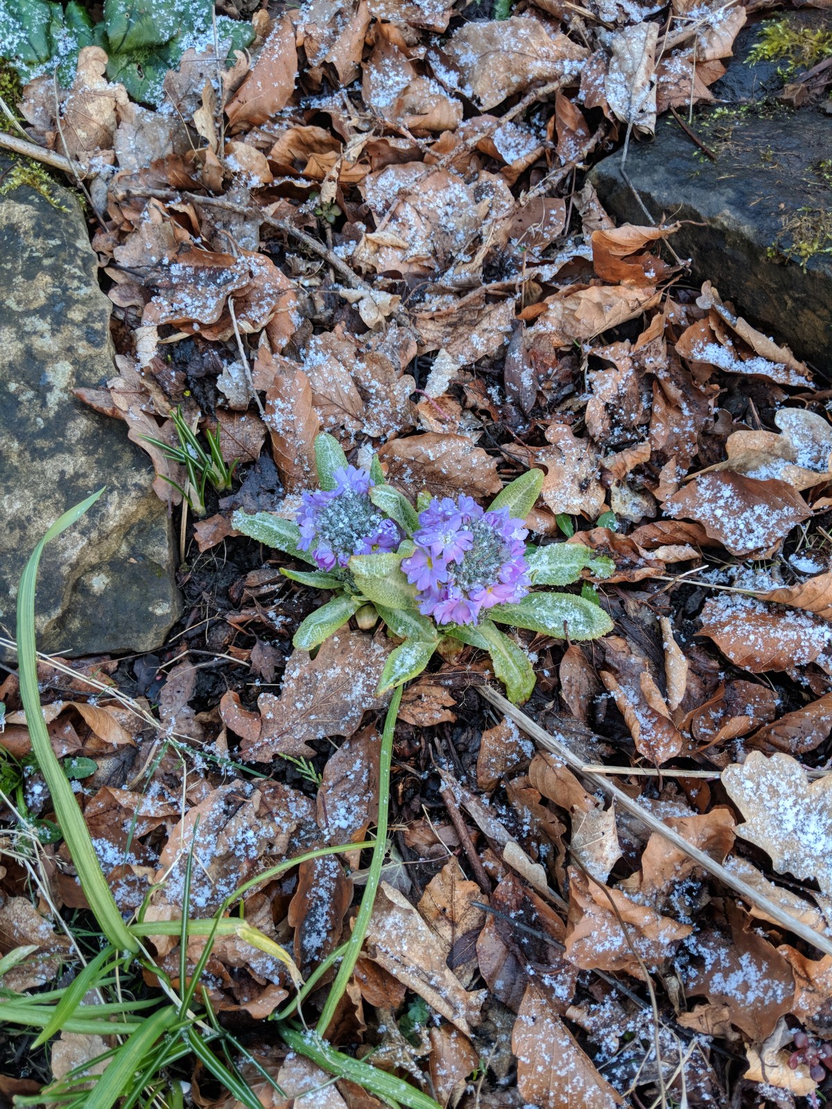 The Joy of&nbsp;Normality