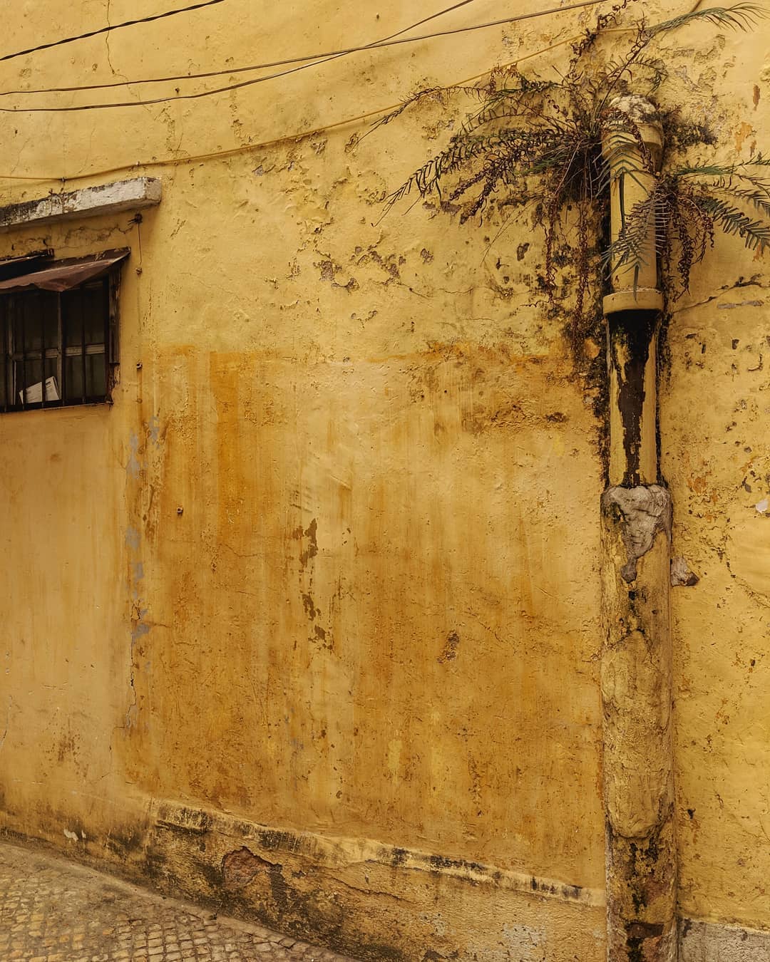 Holy Week at Home #1: Palm&nbsp;Sunday