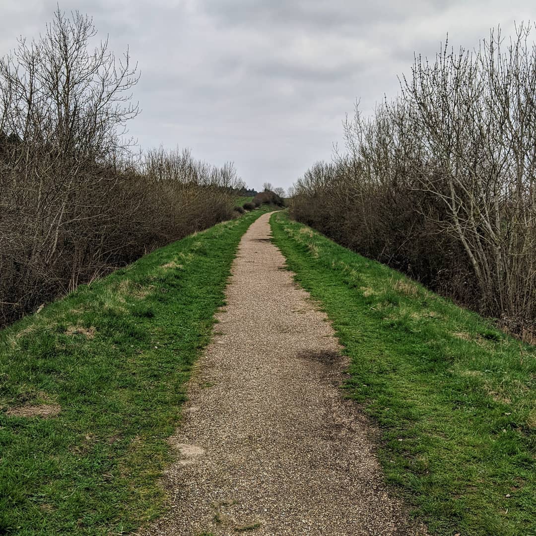 Holy Week at Home #3: Holy&nbsp;Tuesday