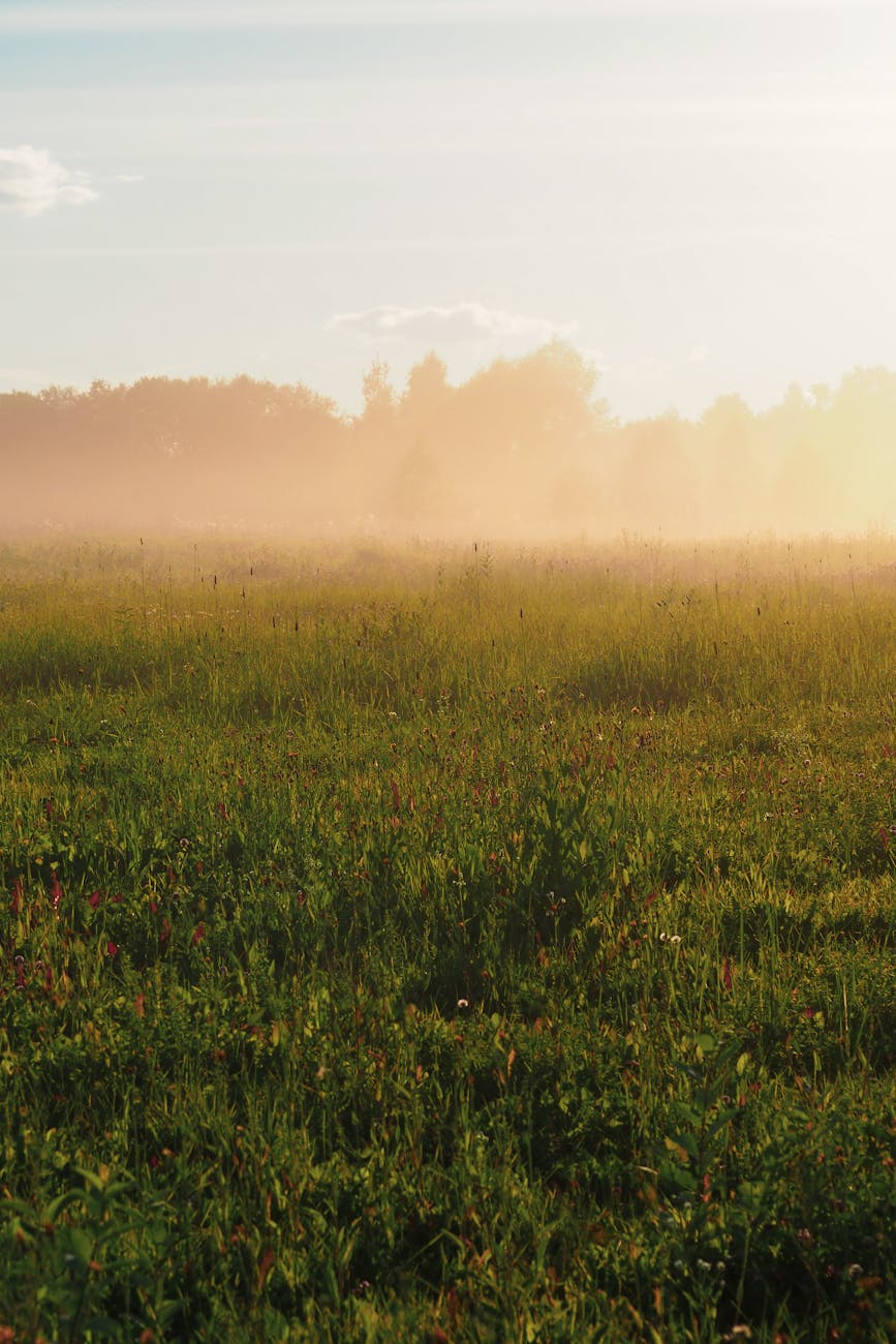 Never Too Late: A&nbsp;Sermon